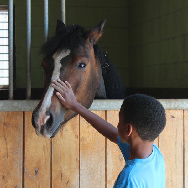 A young boy pets a brown horse in its stable.