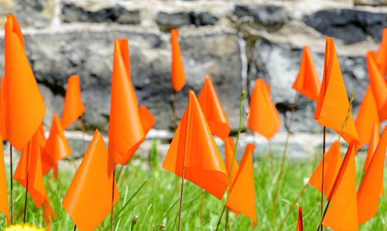Small orange flags places in grass in memory of the thousands of Indigenous children that died in Canada's residential school system.